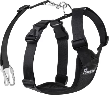 Dog harness