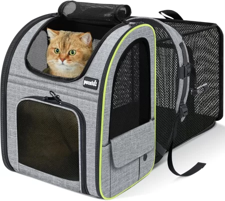 Pecute Cat Backpacks